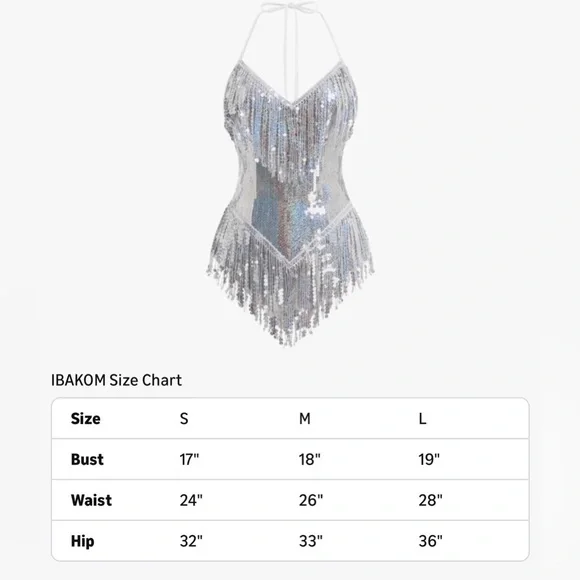 Bodysuit Leotard Sexy, Sequins Fringe large silver christmas new year party - Picture 7 of 9